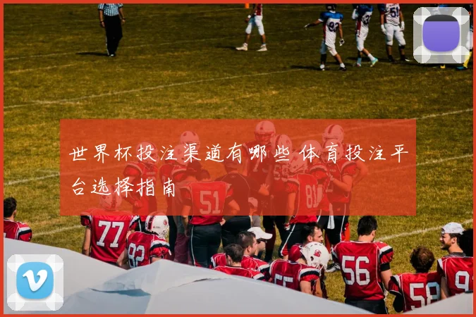 世界杯投注渠道有哪些 体育投注平台选择指南