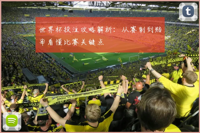 世界杯投注攻略解析：从赛制到赔率看懂比赛关键点