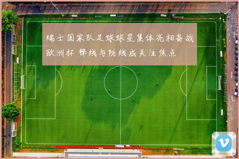 瑞士国家队足球球星集体亮相备战欧洲杯 锋线与防线成关注焦点