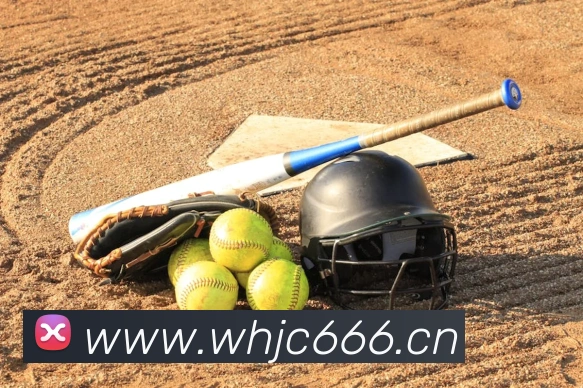 乐鱼网页版登录界面首页平台生态图