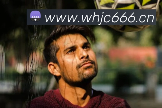 乐鱼网页版登录界面首页APP 封面图